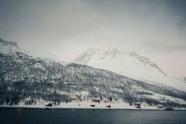 Norveç 'teki Kuzey Buz Denizi kıyısındaki karlı Lyngen Alplerinde kırmızı ahşap kulübeler.