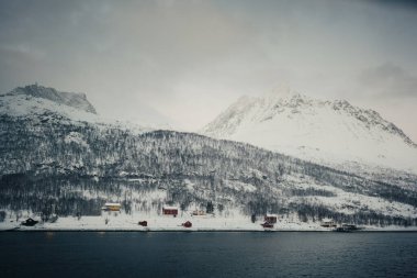 Kuzey Norveç 'teki Lyngen Alplerindeki kulübeler Kuzey Buz Denizi kıyısında.