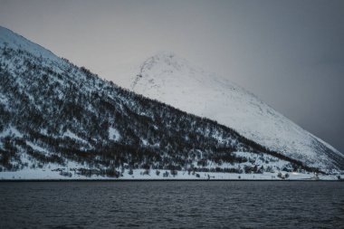 Karlı Kuzey Kutbu dağ manzarası, Kuzey Norveç 'teki Lyngen Alpleri