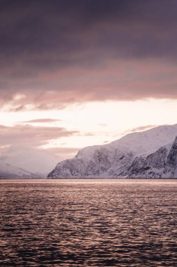 Kuzey Norveç 'te Lyngen Alpleri ve arktik okyanusu üzerinde pembe gökyüzü batımı