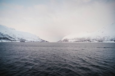 Kuzey Arktik Norveç 'teki Lyngen Alpleri' ndeki karlı dağlar arasındaki fiyort