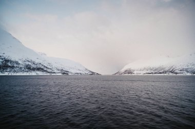 Kuzey Arktik Norveç 'teki karlı Lyngen Alplerinde dağlar arasındaki fiyort