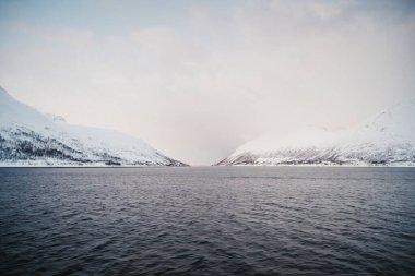 Kuzey Arktik Norveç 'te Lyngen Alpleri' ndeki dağlar arasındaki fiyort.