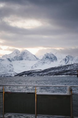 Norveç Lyngen Alpleri Kuzey Buz Denizi 'ndeki tekneden karlı dağ manzarası