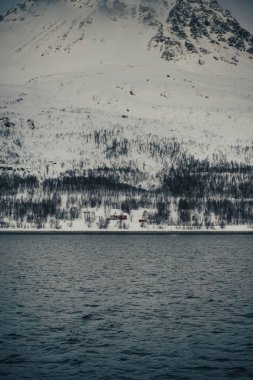 Kuzey Norveç 'teki Lyngen Alpleri' nde Kuzey Buz Denizi kıyısında karlı kırmızı bir kulübe.