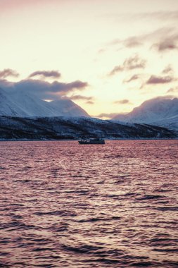 Kuzey Norveç 'in altın saatinde Kuzey Buz Denizi' nde bir tekne