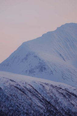 Tromso, Norveç 'te Karlı Tromsdalstinden Dağı pembe gökyüzüne karşı