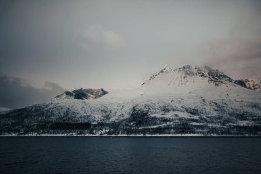 Norveç Lyngen Alpleri kışın Kuzey Kutbu fiyortlarındaki tekneden gökyüzüne yükselir.