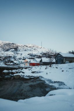 Norveç, Tromso yakınlarındaki Ersfjordbotn 'daki karlı kutup plajlarındaki renkli evler.