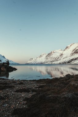 Norveç, Tromso yakınlarındaki Ersfjord arktik okyanusunda karlı dağ yansıması.
