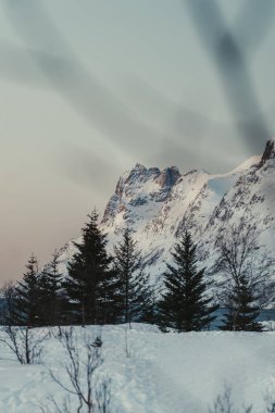 Günbatımında karlı Ersfjord Dağları Tromso, Norveç yakınlarındaki arktik ağaçlarının ötesinde.