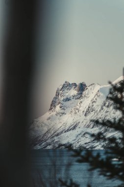 Arktik Ersfjord, Tromso, Norveç 'te gün batımında ağaçların ötesinde kayalık karlı dağ.