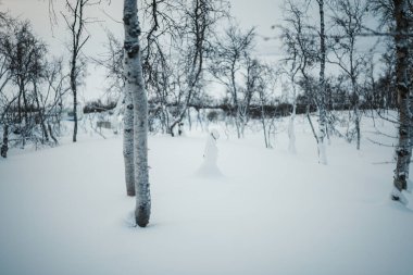 Finlandiya 'nın Kilpisjarvi kentinde Saana tarafındaki karlı ormanın içinde düştü..