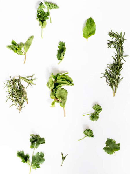 Various appetizers on a white background