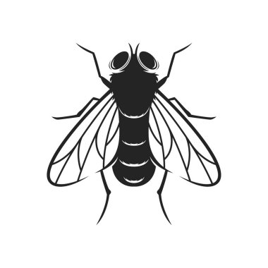 Silüet vektör illüstrasyon tasarımını uçur