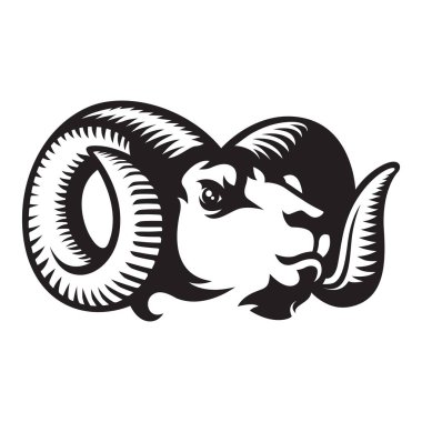 Koyun başı siyah-beyaz illüstrasyon vektör tasarımı