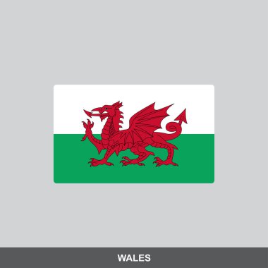 Galler ulusal bayrak vektör tasarımı