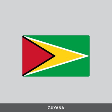 Guyana ulusal bayrak vektör tasarımı