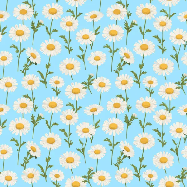 Gökyüzü Mavisi 'nde Parlak Papatyalar