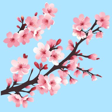 Elegant Sakura Branch on Blue Background clipart