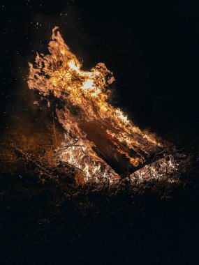 Arka bahçede sakallı bir ejderha.