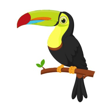 Tukanlar, büyük, canlı gagaları ve neşeli kişilikleriyle tanınan parlak renkli kuşlardır. Orta ve Güney Amerika 'daki tropikal ormanlarda yetişen bu kuşlar, büyük gagalarını meyvelerine ulaşmak için kullanırlar ve bu da yiyeceklerinin büyük bir kısmını oluşturur.. 