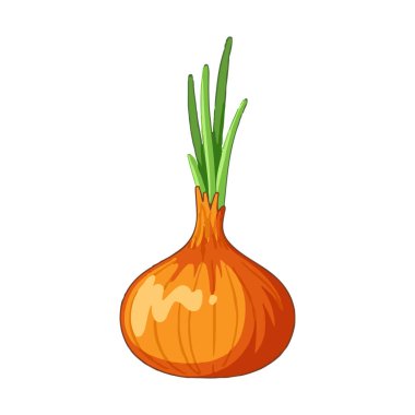 Soğanlar keskin tat ve aromalarıyla tanınan çok yönlü sebzelerdir ve dünyada yaygın olarak mutfaklarda kullanılır. Allium familyasındandır ve sarı, kırmızı ve beyaz soğan gibi çeşitli türlere sahiptirler. Vitamin ve madenci açısından zengindir.