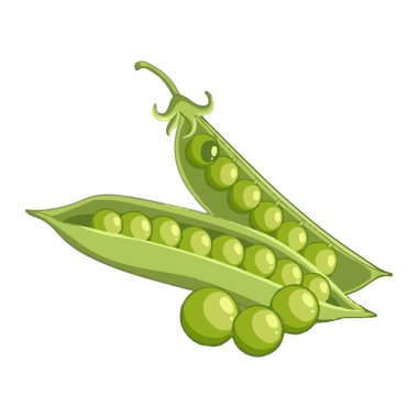 Bezelyeler küçük, yuvarlak, yeşil sebzelerdir ve baklagiller familyasına aittir. Protein, lif, vitamin, mineral ve bezelye gibi besinler, çorba, salata gibi çeşitli yemeklerde kullanılan çok yönlü bir bileşendir., .