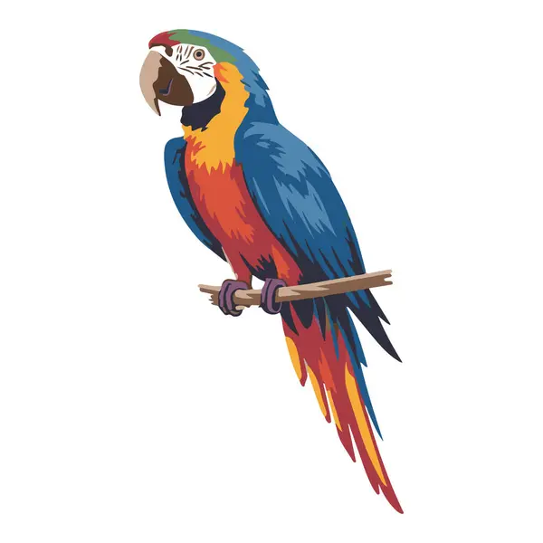 Papağanlar canlı tüyleri, kavisli gagaları ve insan dili de dahil olmak üzere sesleri taklit edebilme yeteneğiyle tanınan renkli ve zeki kuşlardır. Tropikal ve subtropikal bölgelere özgü olarak, sık sık yağmur ormanlarında, çayırlarda ve ormanlarda bulunurlar.. 