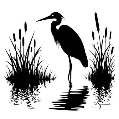 Suyun kenarında duran zarif bir balıkçıl tasvir edilir, parlak ve minimalist bir siluet tarzıyla tasvir edilir. Bu vektör çizimi, doğanın sükunetini, dingin bir göl kenarı zeminiyle yakalar ve onu dijital ortamda mükemmel kılar.