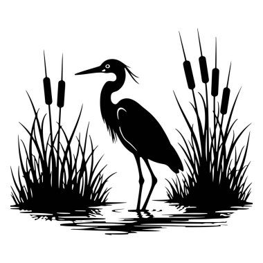Zarif doğal elementlerle çerçevelenmiş sakin bir göl kenarı tarafından hazırlanmış zarif balıkçıl silueti. Bu vektör illüstrasyonu, doğal dekor, eğitim projeleri ve çevre kampanyası için mükemmel olan sulak arazi yaban hayatının huzurlu özünü yakalar.