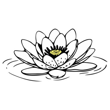 Zarif Lotus Çiçek Hattı Sanat Minimalist Yazdırma ve Dijital Tasarım için Çiçek İllüstrasyonu