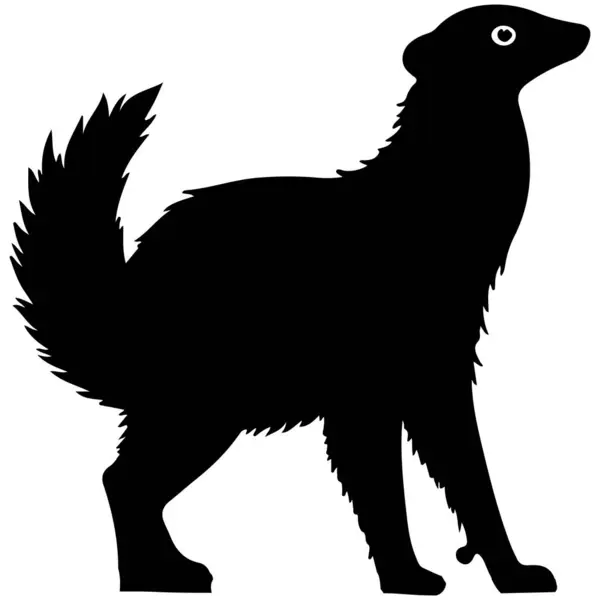 Bu Anteater Silhouette Vector, güçlü bir karıncayiyenin kendine özgü biçimini ve duruşunu sergiliyor. Logolar, posterler ve vahşi yaşam temalı tasarımlar için ideal, cesur ve minimal bir stile sahip. Güçlü duruşu ve dinamik hatlarıyla, bu grafikle 