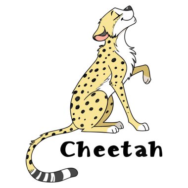 Bu karikatür çita çizimi, parlak sarı ceketli, siyah benekli ve uzun çizgili kuyruklu dost canlısı bir çitayı gösteriyor. Çocuk projeleri, eğitim malzemeleri ve hayvan temalı tasarımlar için ideal. Kalın 