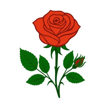 Bud ve Yaprak İllüstrasyonu ile Zarif Kırmızı Gül Düğünler, Yıldönümleri, Davetiyeler için Romantik Çiçek Vektör Sanatı ya da Sevgililer Günü Hediyesi Beyaz Arkaplanda Ayrı Skeç Tarzlı Çiçek