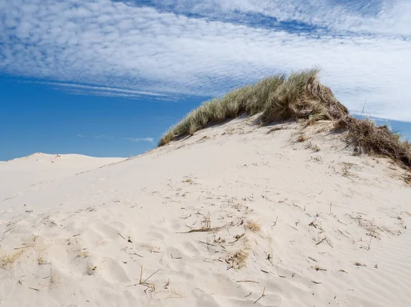 Sand Dunes Town Leba Baltic Coast Part Slowinski National Park — Stock Photo, Image