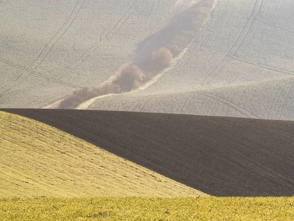 Çek Cumhuriyeti 'nin başkenti Moravya' nın Kyjov şehrinin etrafındaki tipik Moravya bölgesinde yer alan farklı tarlalar ve çayırlar ile dalgalı bir kırsal alan.