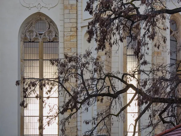 Gecenin erken saatlerinde Strahov Manastırı 'nın avlusunda Meryem Ana' nın Hükmü Bazilikası 'nın ayrıntıları. Yüksek pencere ve dallar manastır manzarasını kısmen engelliyor..