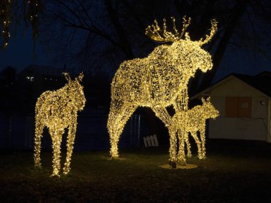 Eşek, geyik ve geyik ile halka açık bir alanda sihirli Noel süslemesi Karanlıkta parlayan sarı ışıklarla yaratıldı..