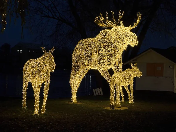 Eşek, geyik ve geyik ile halka açık bir alanda sihirli Noel süslemesi Karanlıkta parlayan sarı ışıklarla yaratıldı..