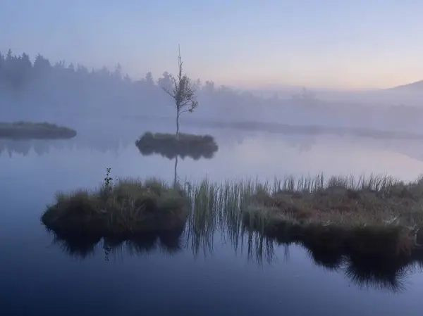 Mavi saat ve sabah sisinde Chalupska slat denilen turba bataklığı ve moor gölünün ikonik bir görüntüsü.
