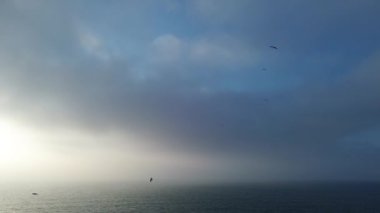 Uçsuz bucaksız okyanusun sisli ve yumuşak bulutlu nefes kesici görüntüsü, huzurlu şafak atmosferini yakalıyor.