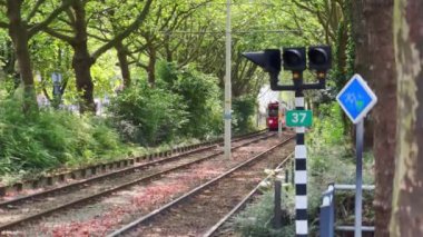 Huzurlu ve sakin manzaralı demiryolu rayları çevresindeki yemyeşil ağaçlarla huzur içinde sergileniyor.