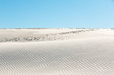 textured white sand dune with waves, a horizon, and a clear blue sky. white sands national park landscape clipart