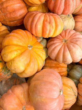 Bir grup renkli aile yadigarı balkabağı sarısı, turuncu, yeşil ve şeftali yakından çekilmiş. Yaratıcı tasarım, yüzeyler ve altyapılar için bir kaynak. 