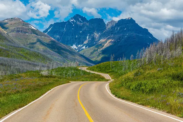 Kanada 'daki Waterton Lakes Ulusal Parkı' ndaki bulutlar ve mavi gökyüzü ile Rocky Dağları üzerinde güzel gölgeleri olan yaz kır çiçeklerinin arasından geçen bir yol..