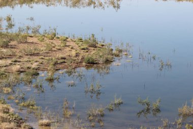 Barrage El Mansour Eddahbi, Ouarzazate Gölü, Fas