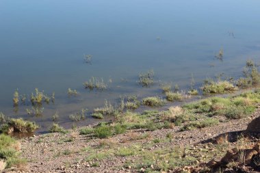 Barrage El Mansour Eddahbi, Ouarzazate Lake, Morocco clipart