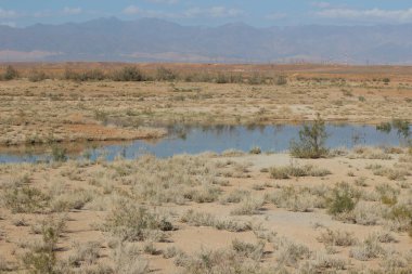 Barrage El Mansour Eddahbi, Ouarzazate Gölü, Fas