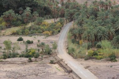 Fas 'ta Ouarzazate yakınlarında Fint Oasis